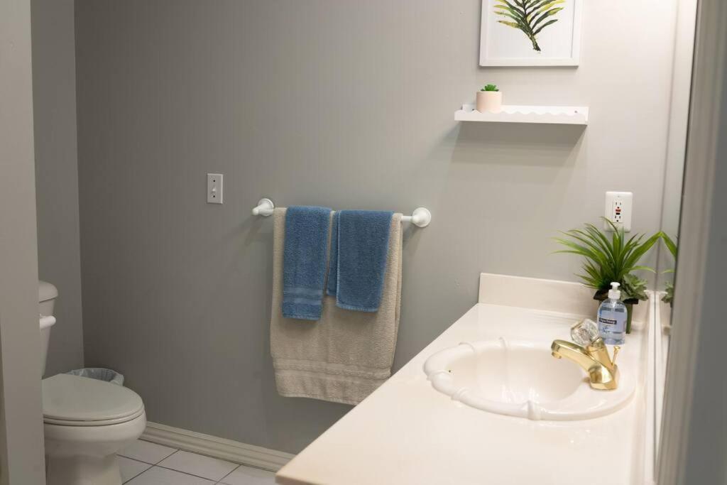 Willa Walking Distance To Coler Mtn Bike - 3Br 2Ba Bentonville Zewnętrze zdjęcie
